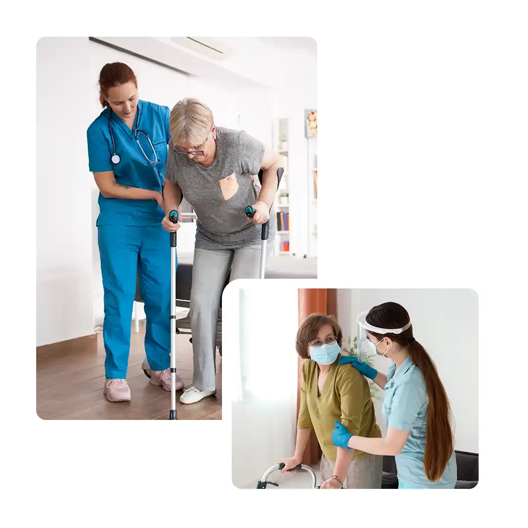 holistic senior wellness programs bangalore